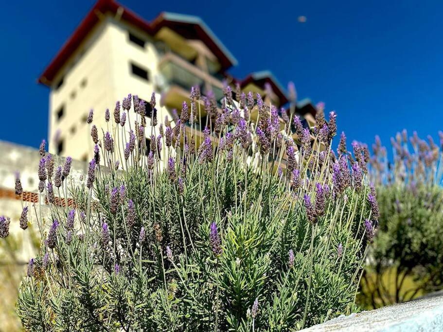 Lindo Apartamento Na Montanha! Apartment Águas de Lindóia Bagian luar foto